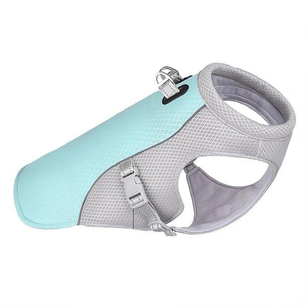 Coleira Cold Dog vista lateral